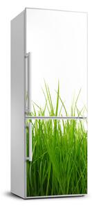 Matrica hűtőre Zöld fű