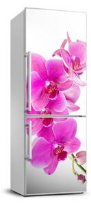 Hűtőre ragasztható matrica Rózsaszín orchidea