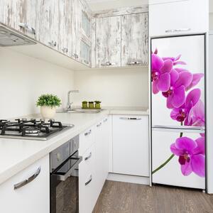 Hűtőre ragasztható matrica Rózsaszín orchidea
