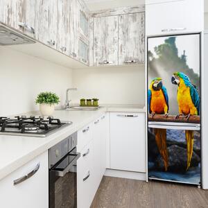 Hűtőre ragasztható matrica Papagájok ara