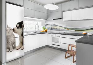 Hűtőre ragasztható matrica Kutya és macska