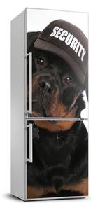 Hűtőre ragasztható matrica Rottweiler
