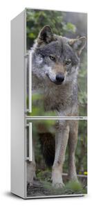 Hűtőre ragasztható matrica Farkas az erdőben