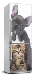 Hűtőre ragasztható matrica Kutya és macska