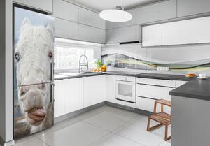 Hűtőre ragasztható matrica Őrült fehér ló