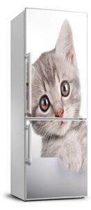 Hűtőre ragasztható matrica Szürke macska