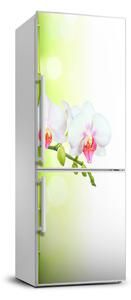 Hűtőre ragasztható matrica Orchidea és bambusz