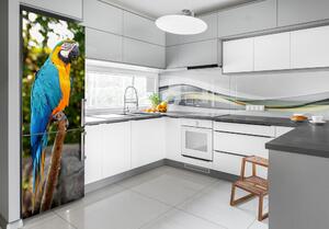 Hűtőre ragasztható matrica Ara papagáj