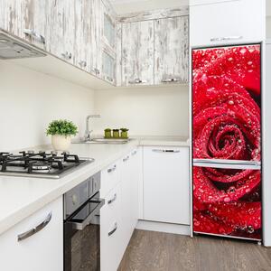 Hűtőre ragasztható matrica Vörös rózsa