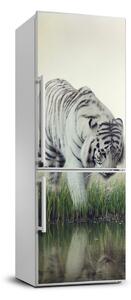 Hűtőre ragasztható matrica Fehér tigris