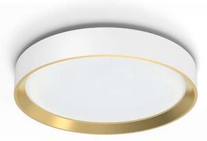 Philips Philips - LED Dimmelhető mennyezeti lámpa HANNO LED/24W/230V 2700K fehér P6227
