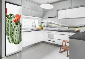 Dekor matrica hűtőre Kaktuszok