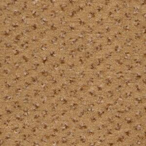 Argus-105 sand 291cm széles 400cm hosszú beige-barna