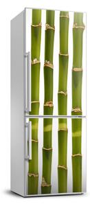 Dekor matrica hűtőre Bambusz