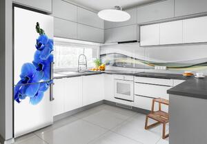 Dekor matrica hűtőre Kék orchidea
