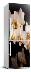 Dekor matrica hűtőre Orchidea