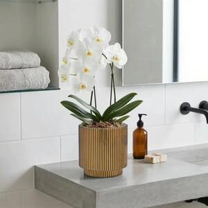 Nature Groove arany virágcserép 17 cm - Arany - 0 - 30cm