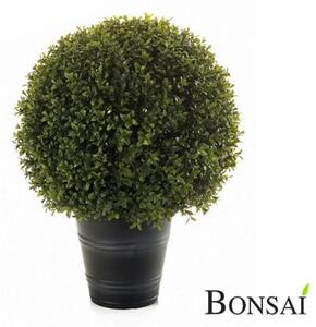 Mű buxus 50 cm – UV-álló gömbfa kertbe - 31 - 50 cm