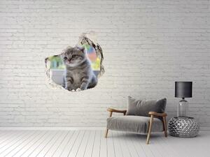 Fali matrica lyuk a falban Kis macska az ablakban