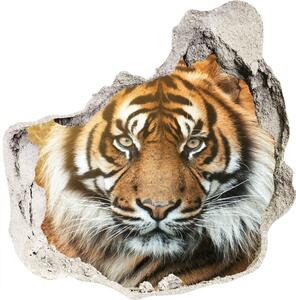 Fali matrica lyuk a falban Bengáli tigris