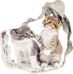 Fali matrica lyuk a falban Két kis macska