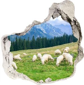 Fali matrica lyuk a falban Sheep a tátrában