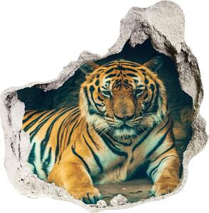 Fali matrica lyuk a falban Tiger cave