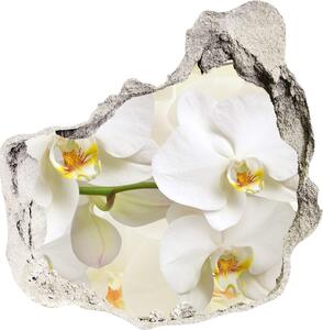 Fali matrica lyuk a falban Orchidea