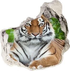 Fali matrica lyuk a falban Szibériai tigris