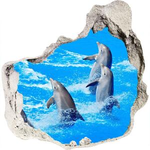 3d-s lyukat fali matrica Delfinek