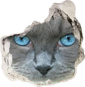 3d-s lyukat fali matrica Cat kék szem