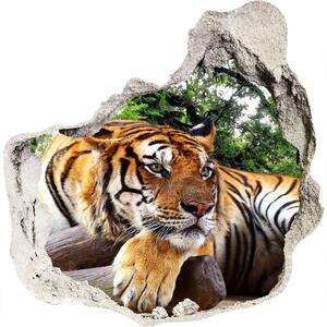 3d-s lyuk vizuális effektusok matrica Tiger a rock