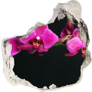 3d-s lyuk vizuális effektusok matrica Orchidea