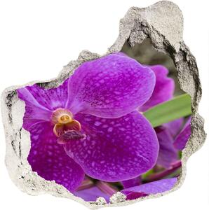 3d-s lyuk vizuális effektusok matrica Orchidea