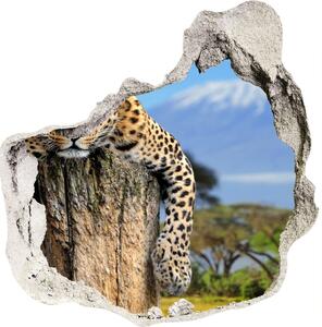 3d-s lyuk vizuális effektusok matrica Leopard egy fatönkön