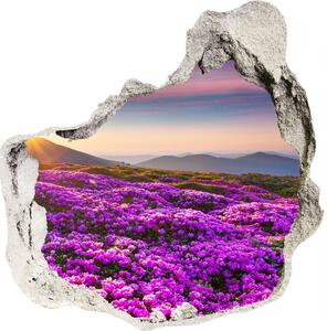 3d-s lyuk vizuális effektusok matrica Virágok a hegyekben