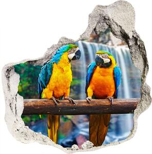 3d lyuk fal dekoráció Papagájok, elágazik