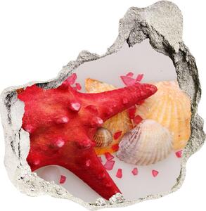 3d lyuk fal dekoráció Starfish és kagylók