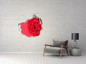 3d lyuk fal dekoráció Vörös rózsa