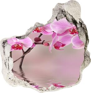 3d lyuk fal dekoráció Rózsaszín orchidea