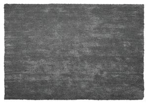 Sötétszürke hosszú szálú szőnyeg 140 x 200 cm DEMRE