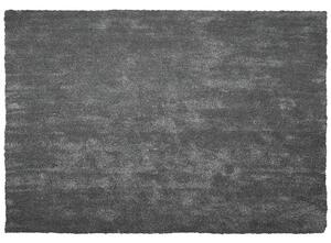 Sötétszürke hosszú szálú szőnyeg 160 x 230 cm DEMRE