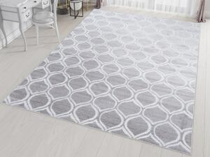 Szürke - fehér modern WILD szőnyeg Méret: 170x120 cm