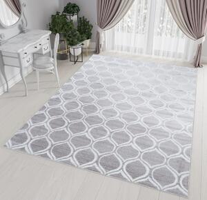 Szürke - fehér modern WILD szőnyeg Méret: 170x120 cm