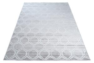 TA Szürke - fehér modern WILD szőnyeg Méret: 170x120 cm