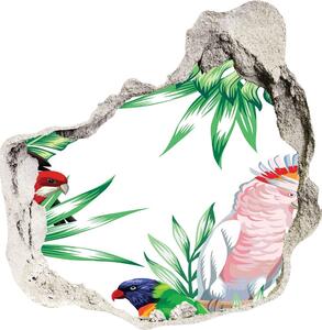 3d lyuk fal dekoráció Trópusi madarak