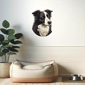 PIPPER. Matrica Border collie Méret: 60cm