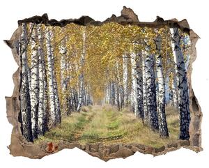 Fali matrica lyuk a falban Birches ősszel
