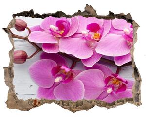 Fali matrica lyuk a falban Orchid a fán