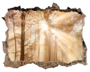 Fali matrica lyuk a falban Köd az erdőben ősszel